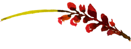 Decorative flower